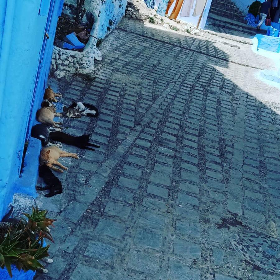 Apartamento Casa Mablu Xauen Exterior foto